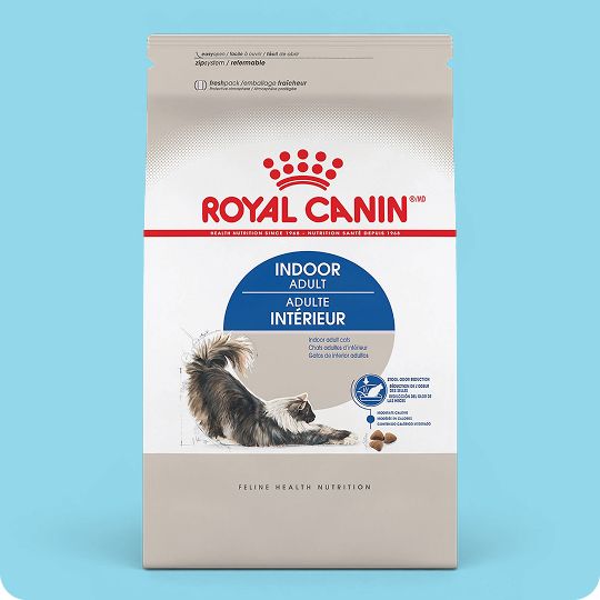 Royal Canin Feline Health Indoor Adult Dry Cat Food Nutrition