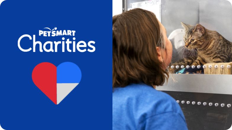 PetSmart Charities logo with a red, blue and gray heart and a girl looking at a cat in a kennel