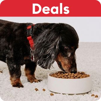 Deals callout and a dog eating kibble out of a bowl