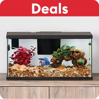 Deals callout and an aquarium starter kit
