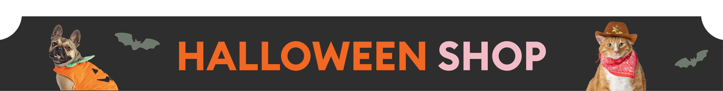 Halloween Shop banner featuring a dog in a pumpkin costume, a cat wearing a cowboy hat & bat illustrations