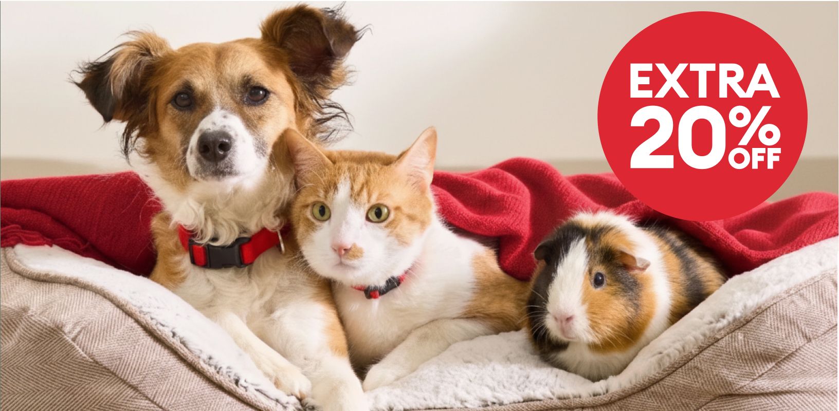 Dog, cat & guinea pig lying together in a pet bed & an EXTRA 20% OFF badge