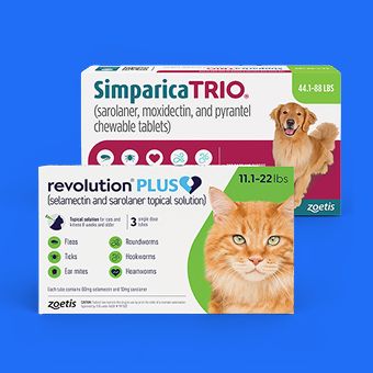 Simparica Trio dog flea & tick and Revolution Plus cat flea & tick