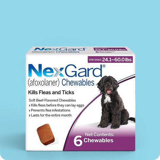 NexGard Chewable Tablets for Dogs