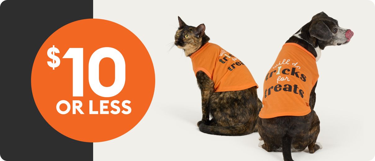 Cat & dog wearing 'Will do tricks for treats' apparel