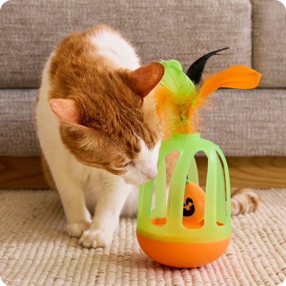 Cat playing with Halloween-themed toy on carpet
