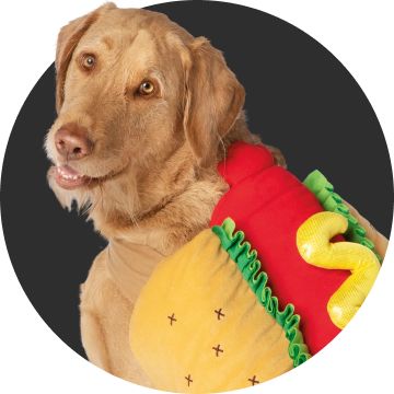 Dog in hot dog costume