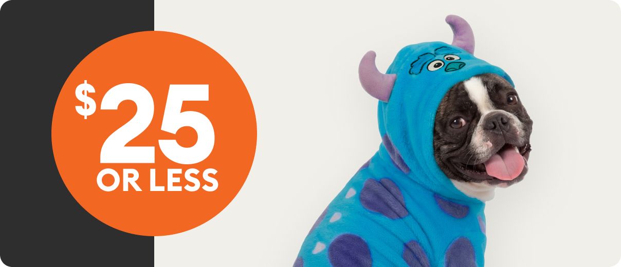 Dog in blue monster costume