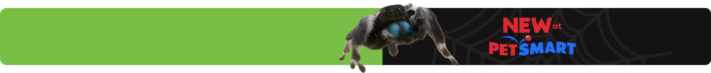 New at PetSmart callout alongside jumping spider on graphic of a spiderweb
