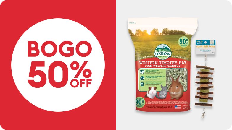 BOGO 50% OFF callout & small pet hay & toy