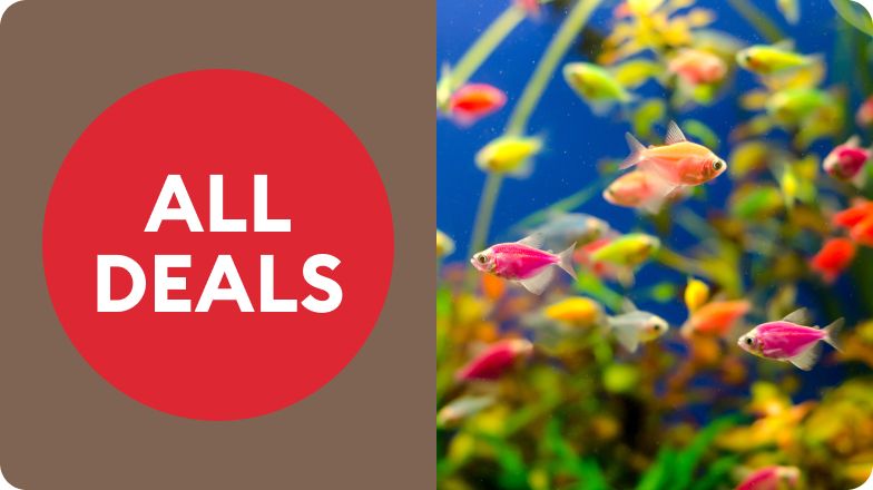 A badge that reads "All deals" and an underwater scene with various colorful fish