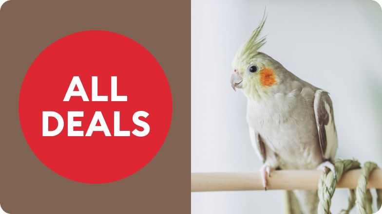 An "All deals" badge and a light yellow parakeet on a wooden perch with a rope toy