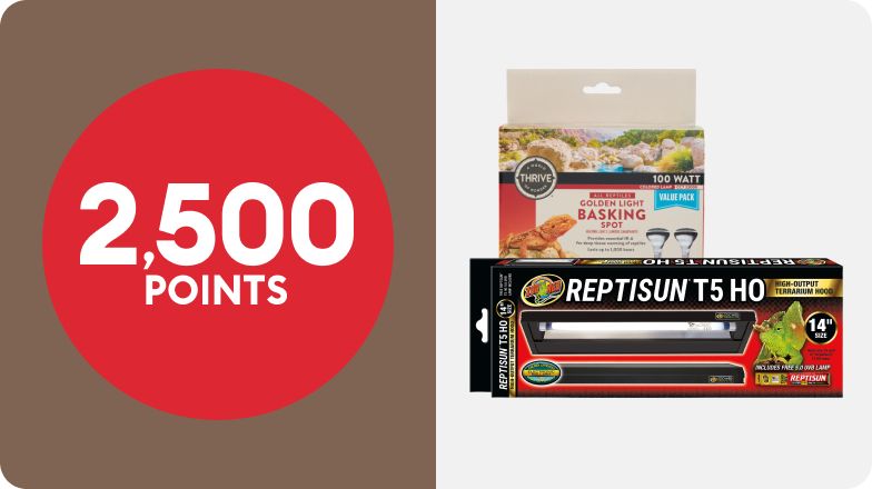 A "2,500 points" badge and two different brands of reptile terrarium lights