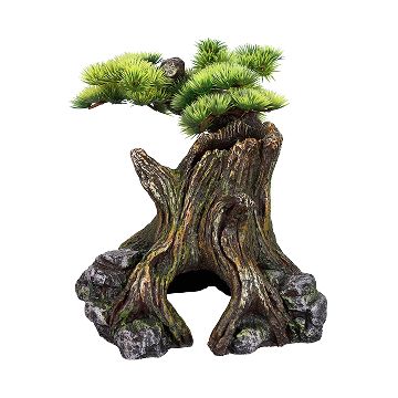 A tree trunk with an open middle and greenery on the top branch