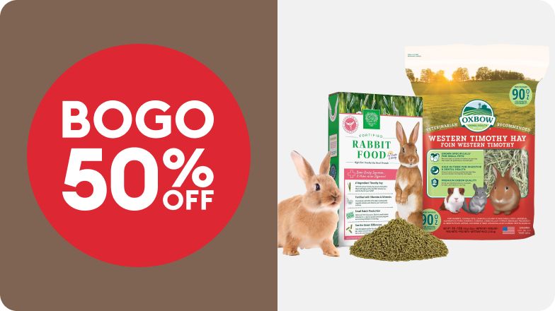 A "BOGO 50% OFF" badge and package of rabbit food, a package of hay, a pile of pellets, and a rabbit