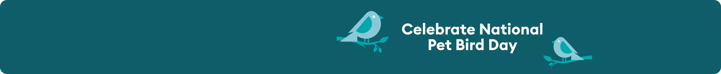 Two cartoon birds on branches on a teal background with a Celebrate National Pet Bird Day callout