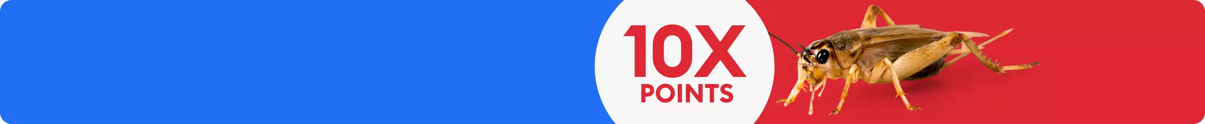 Cricket shown with 10X POINTS on red background