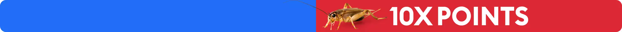 Cricket shown with 10X POINTS on red background