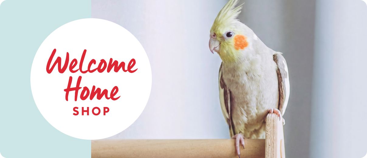 White cockatiel perched on a wooden stand alongside Welcome Home Shop message