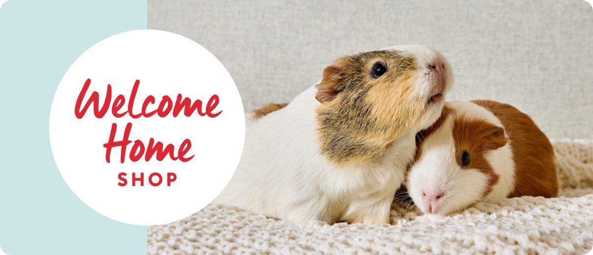 Two guinea pigs & Welcome Home Shop message