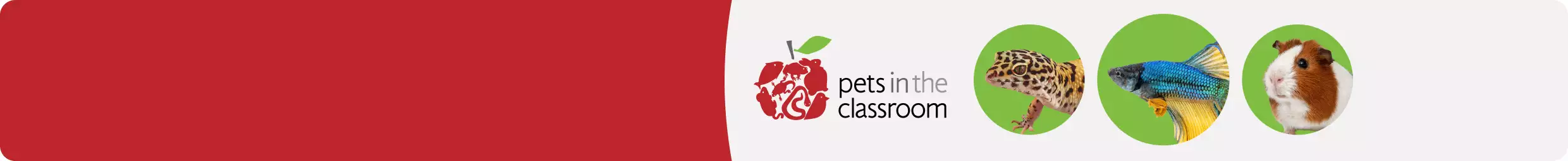 The "Pets in the Classroom" logo with a red apple made up of animals, plus images of a spotted gecko, a bearded dragon, and a hamster
