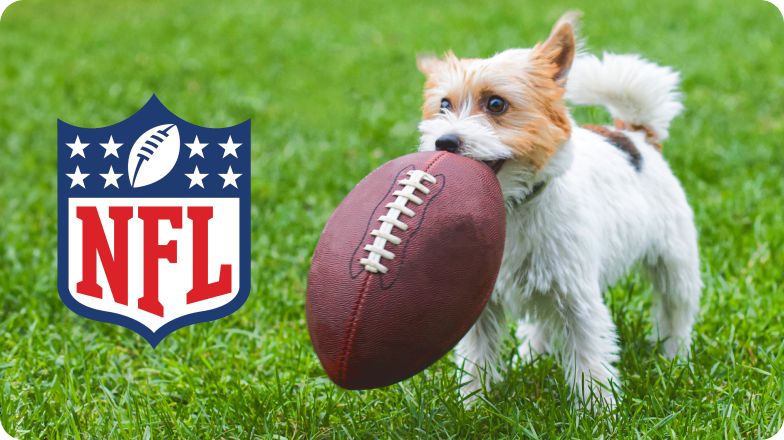 A small white dog carrying a football in his mouth and the NFL logo