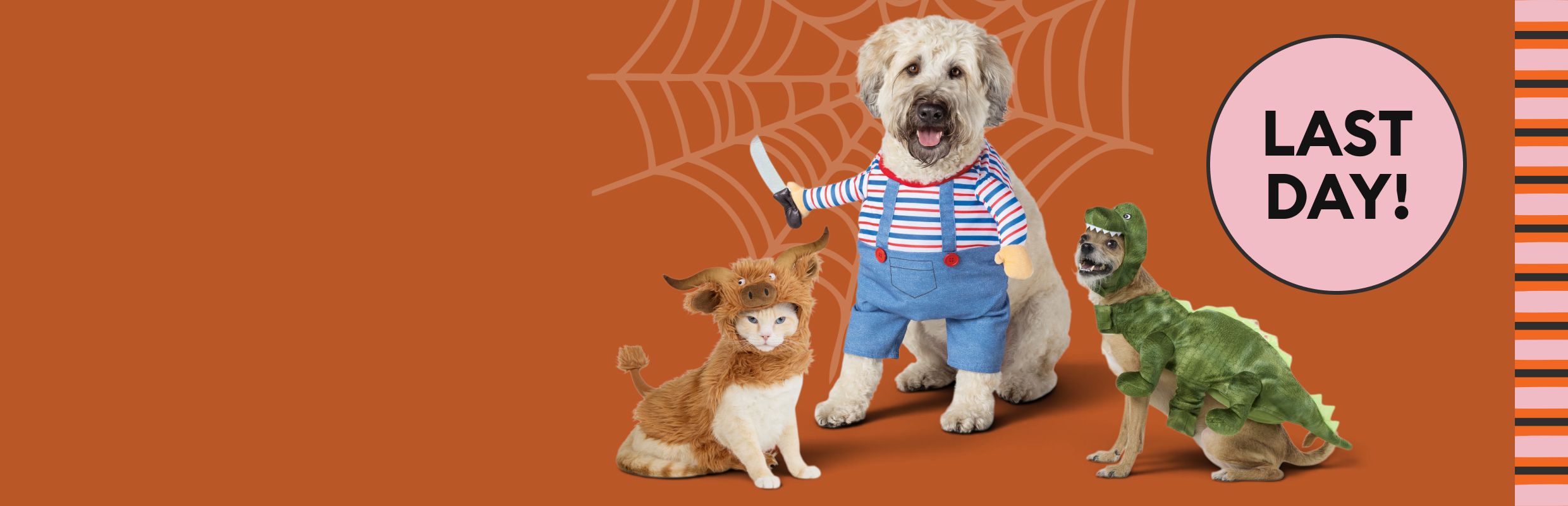 Black dog wearing a Canadian flag bandana and orange tabby cat lounging on grass with tennis balls & a last day callout