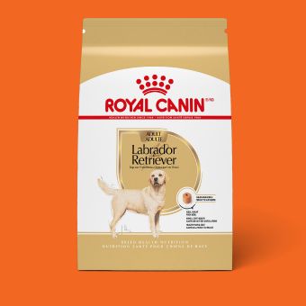 Bag of Natural Balance dog food