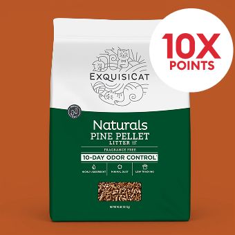 ExquisiCat litter and 10X points callout