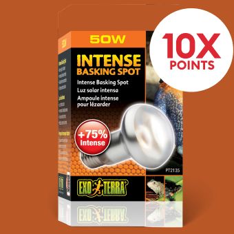 Thrive Basking Light and a 10X points callout