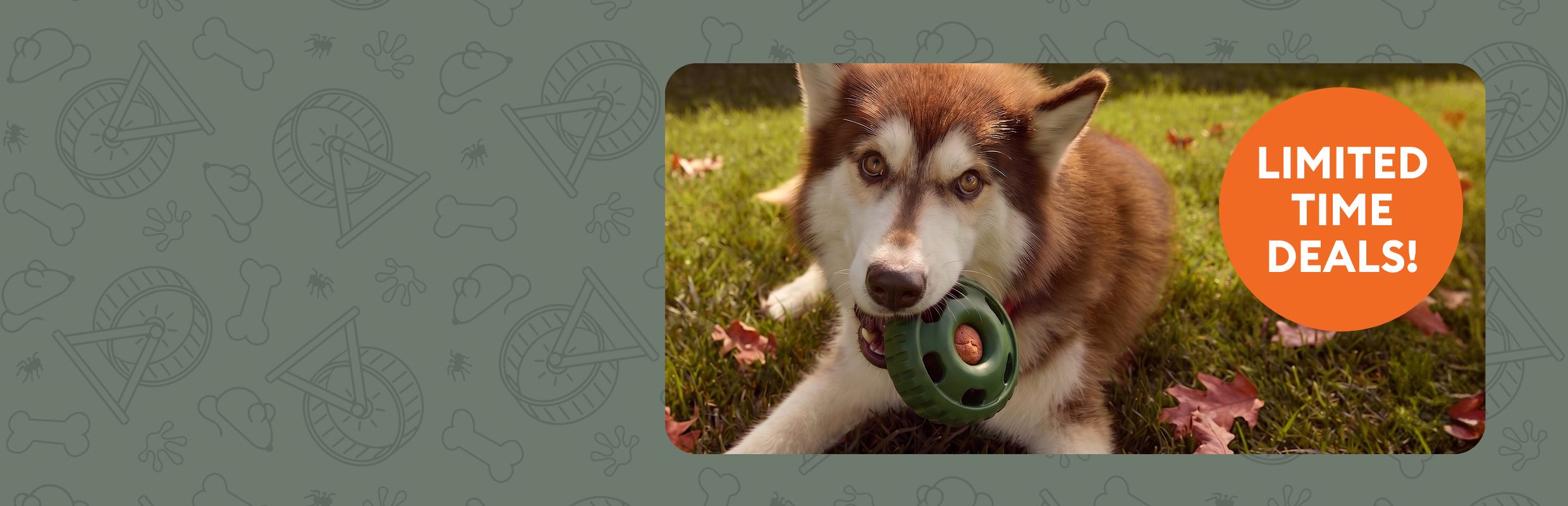 Husky playing with a green toy outside & a limited-time deals callout