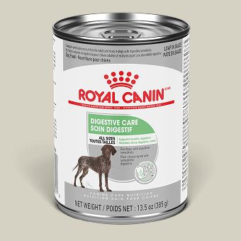 Can of Royal Canin dog food