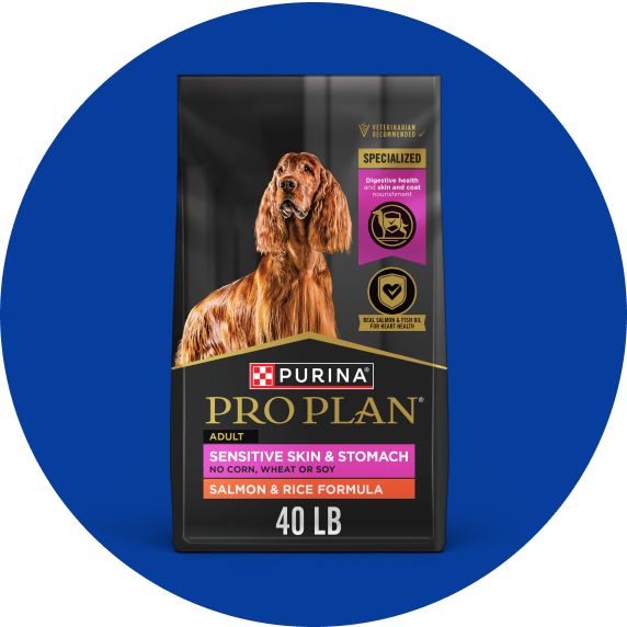Purina Pro Plan large dry dog food bag