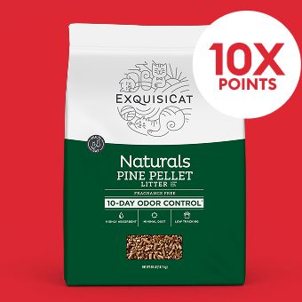 ExquisiCat litter and 10X points callout
