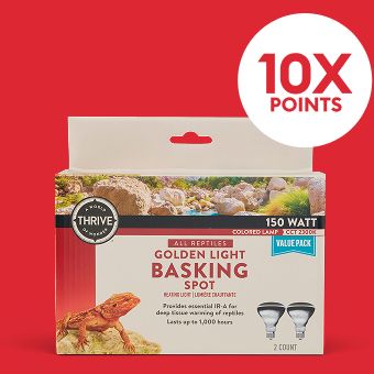 Thrive Basking Light and a 10X points callout