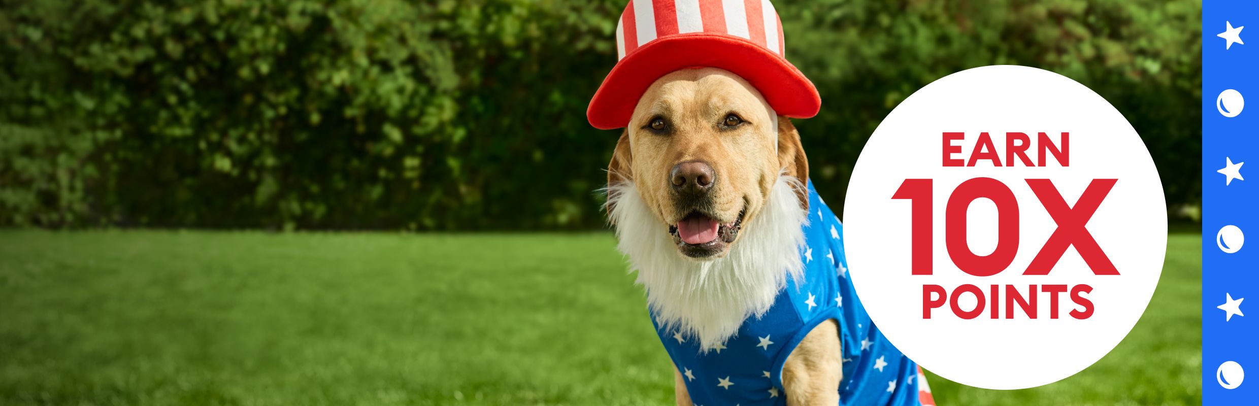 Dog wearing a patriotic stars-and-stripes outfit and a 10X points offer callout