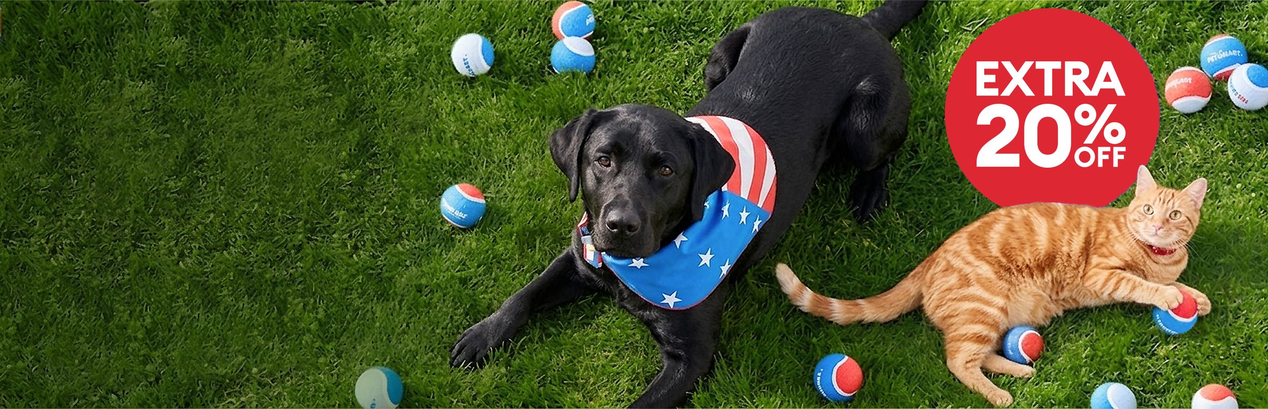 Black dog wearing a patriotic bandana and orange tabby cat lounging on grass with toys & an extra 20% off callout