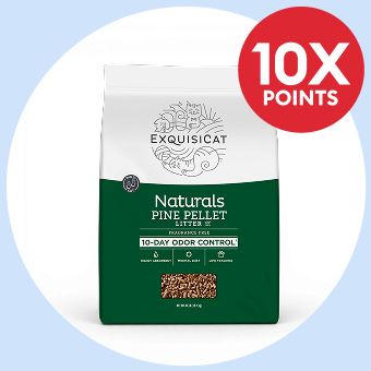 ExquisiCat litter and 10X points callout