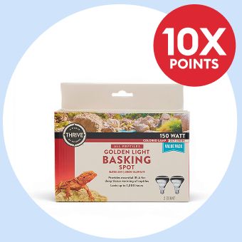 Thrive Basking Light and a 10X points callout