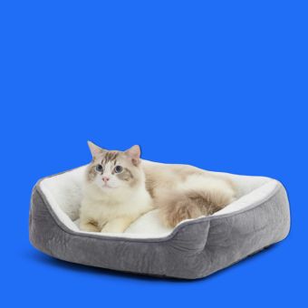 Cat lying on a Grey Lounger