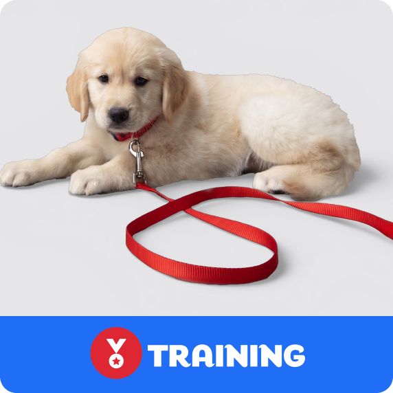 https://s7d2.scene7.com/is/image/PetSmart/WEB-26-4176001%20-%20Sept%2026_US_FW32.2_24CS1_DT