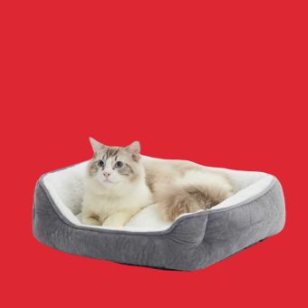 Cat lying on a Grey Lounger