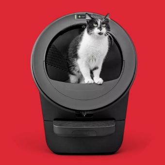 Cat standing in a Litter-Robot