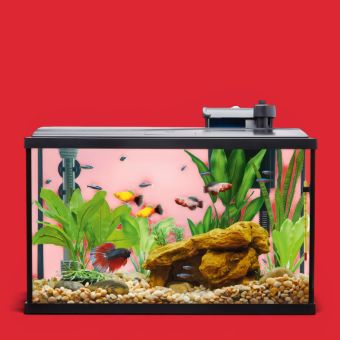 Aquarium