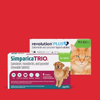 Simparica Trio Chewable Tablets for Dogs & Revolution Plus for Cats