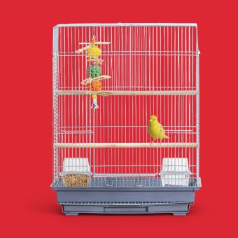 All Living Things Essential Pet Bird Cage for Small Birds