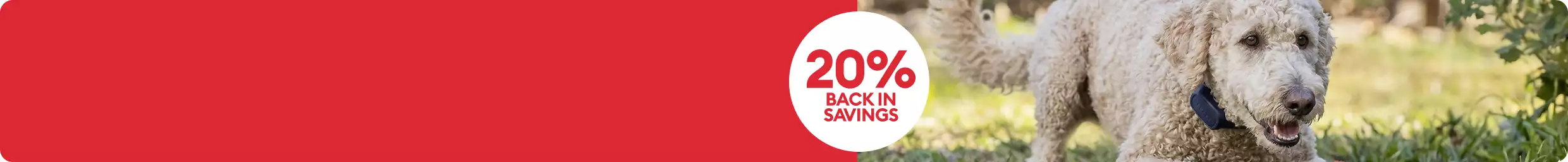 White dog outside & 20% back in savings callout