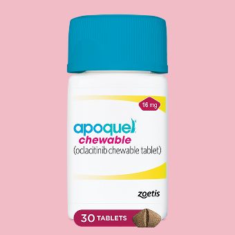 Apoquel Chewables for Dogs
