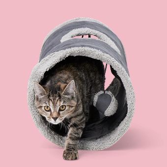 Cat stepping out of a Whisker City Cozy Pop-Open Play Tunnel
