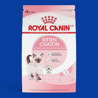 Bag of Royal Canin cat food